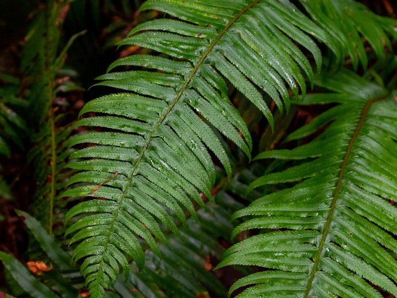 Strategic consulting and training